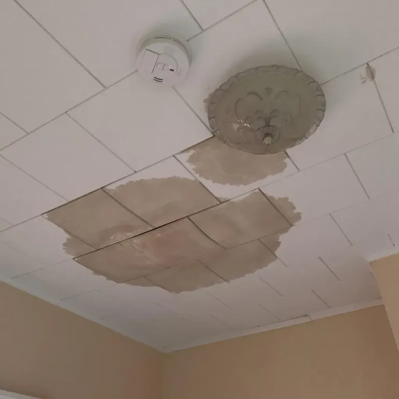 Ceiling Water Damage Repair in Newton Falls, OH