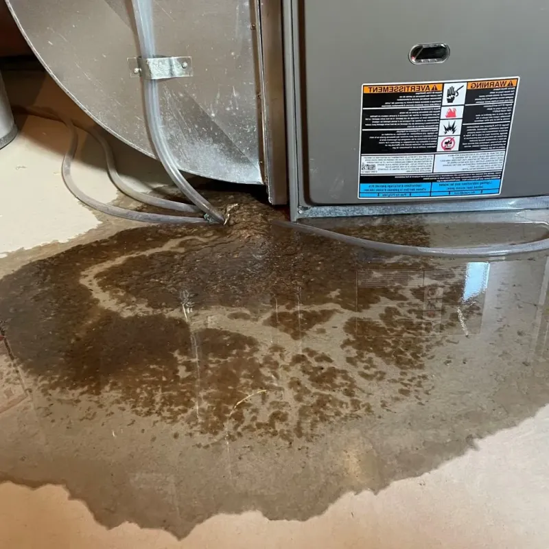 Pipe Burst and Leak Restoration in Newton Falls, OH